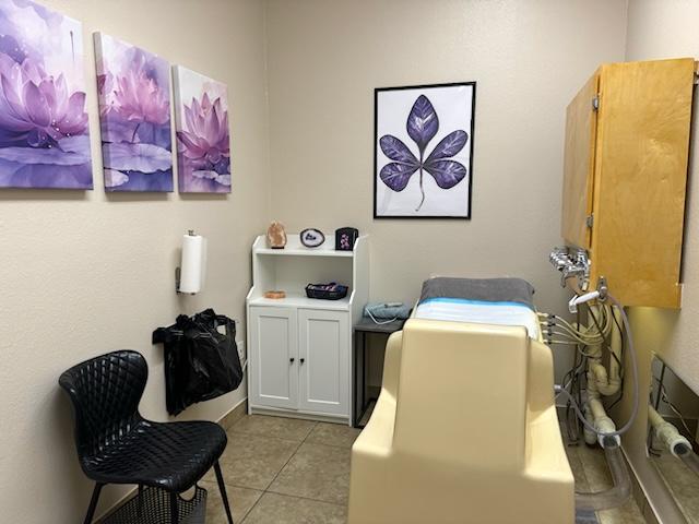 Colon Hydrotherapy Private Room Libbe Colonic Table Open System