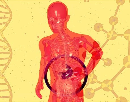 Six Ways Food Can Improve Colon Hydrotherapy