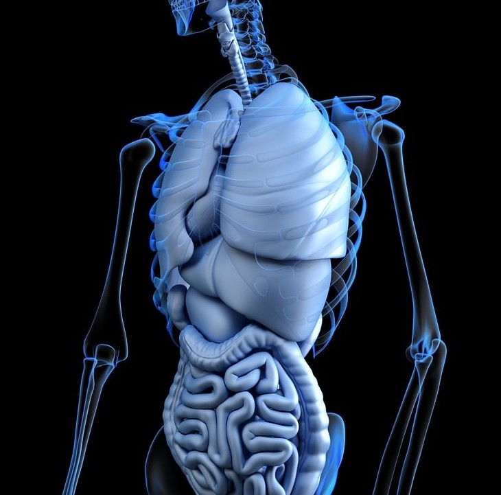 Colon Hydrotherapy Health Benefits